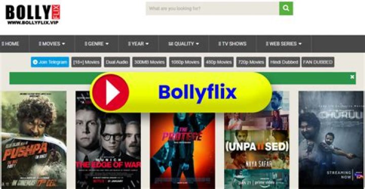 Bollyflix Official Site: The Ultimate Guide to Streaming Bollywood Magic