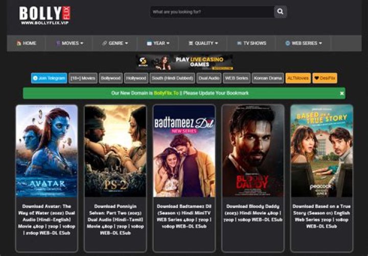 BollyFlix.pet: Your Ultimate Destination for Bollywood Entertainment